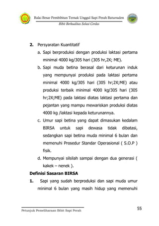 Balai Besar Pembibitan Ternak Unggul Sapi Perah Baturraden
Bibit Berkualitas Solusi Cerdas
Petunjuk Pemeliharaan Bibit Sapi Perah
55
2. Persyaratan Kuantitatif
a. Sapi berproduksi dengan produksi laktasi pertama
minimal 4000 kg/305 hari (305 hr,2X; ME).
b. Sapi muda betina berasal dari keturunan induk
yang mempunyai produksi pada laktasi pertama
minimal 4000 kg/305 hari (305 hr;2X;ME) atau
produksi terbaik minimal 4000 kg/305 hari (305
hr;2X;ME) pada laktasi diatas laktasi pertama dan
pejantan yang mampu mewariskan produksi diatas
4000 kg /laktasi kepada keturunannya.
c. Umur sapi betina yang dapat dimasukan kedalam
BIRSA untuk sapi dewasa tidak dibatasi,
sedangkan sapi betina muda minimal 6 bulan dan
memenuhi Prosedur Standar Operasional ( S.O.P )
fisik.
d. Mempunyai silsilah sampai dengan dua generasi (
kakek – nenek ).
Definisi Sasaran BIRSA
1. Sapi yang sudah berproduksi dan sapi muda umur
minimal 6 bulan yang masih hidup yang memenuhi
 
