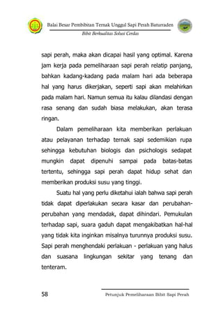 Balai Besar Pembibitan Ternak Unggul Sapi Perah Baturraden
Bibit Berkualitas Solusi Cerdas
Petunjuk Pemeliharaan Bibit Sapi Perah58
sapi perah, maka akan dicapai hasil yang optimal. Karena
jam kerja pada pemeliharaan sapi perah relatip panjang,
bahkan kadang-kadang pada malam hari ada beberapa
hal yang harus dikerjakan, seperti sapi akan melahirkan
pada malam hari. Namun semua itu kalau dilandasi dengan
rasa senang dan sudah biasa melakukan, akan terasa
ringan.
Dalam pemeliharaan kita memberikan perlakuan
atau pelayanan terhadap ternak sapi sedemikian rupa
sehingga kebutuhan biologis dan psichologis sedapat
mungkin dapat dipenuhi sampai pada batas-batas
tertentu, sehingga sapi perah dapat hidup sehat dan
memberikan produksi susu yang tinggi.
Suatu hal yang perlu diketahui ialah bahwa sapi perah
tidak dapat diperlakukan secara kasar dan perubahan-
perubahan yang mendadak, dapat dihindari. Pemukulan
terhadap sapi, suara gaduh dapat mengakibatkan hal-hal
yang tidak kita inginkan misalnya turunnya produksi susu.
Sapi perah menghendaki perlakuan - perlakuan yang halus
dan suasana lingkungan sekitar yang tenang dan
tenteram.
 