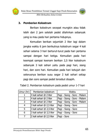 Balai Besar Pembibitan Ternak Unggul Sapi Perah Baturraden
Bibit Berkualitas Solusi Cerdas
Petunjuk Pemeliharaan Bibit Sapi Perah
65
3. Pemberian Kolostrum
Berikan kolostrum secepat mungkin atau tidak
lebih dari 2 jam setelah pedet dilahirkan sebanyak
yang ia mau pada hari pertama hidupnya.
Kemudian berikan sejumlah 2 liter lagi dalam
jangka waktu 6 jam berikutnya kolostrum segar 4 kali
sehari selama 3 hari berturut-turut pada hari pertama
sampai dengan hari ketiga. Kemudian pada hari
keempat sampai keenam berikan 2,5 liter kolostrum
sebanyak 3 kali sehari yaitu pada pagi hari, siang
hari, dan sore hari. Kemudian pada hari ketujuh dan
seterusnya berikan susu segar 2 kali sehari setiap
pagi dan sore sampai pedet tersebut disapih.
Tabel 2. Pemberian kolostrum pada pedet umur 1-7 hari
Umur (hr) Pemberian kolostrum Waktu
1 4 kali sehari @ 2 liter Pagi - Siang - Sore - Malam
2 4 kali sehari @ 2 liter Pagi - Siang - Sore - Malam
3 4 kali sehari @ 2 liter Pagi - Siang - Sore - Malam
4 3 kali sehari @ 2,5 liter Pagi - Siang - Sore
5 3 kali sehari @ 2,5 liter Pagi - Siang - Sore
6 3 kali sehari @ 2,5 liter Pagi - Siang - Sore
7
7 dst.
2 kali sehari @ 2,5 liter Pagi - Sore
 