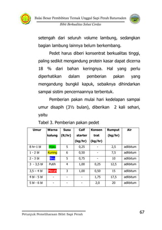 Balai Besar Pembibitan Ternak Unggul Sapi Perah Baturraden
Bibit Berkualitas Solusi Cerdas
Petunjuk Pemeliharaan Bibit Sapi Perah
67
setengah dari seluruh volume lambung, sedangkan
bagian lambung lainnya belum berkembang.
Pedet harus diberi konsentrat berkualitas tinggi,
paling sedikit mengandung protein kasar dapat dicerna
18 % dari bahan keringnya. Hal yang perlu
diperhatikan dalam pemberian pakan yang
mengandung bungkil kapuk, sebaiknya dihindarkan
sampai sistim pencernaannya terbentuk.
Pemberian pakan mulai hari kedelapan sampai
umur disapih (3½ bulan), diberikan 2 kali sehari,
yaitu
Tabel 3. Pemberian pakan pedet
Umur Warna
kalung
Susu
(lt/hr)
Calf
starter
(kg/hr)
Konsen
trat
(kg/hr)
Rumput
(kg/hr)
Air
8 hr-1 bl Hijau 5 0,25 - 2,5 adlibitum
1 - 2 bl Kuning 6 0,50 - 7,5 adlibitum
2 - 3 bl Biru 5 0,75 - 10 adlibitum
3 - 3,5 bl Putih 4 1,00 0,25 12,5 adlibitum
3,5 – 4 bl Merah 3 1,00 0,50 15 adlibitum
4 bl - 5 bl - - - 1,75 17,5 adlibitum
5 bl - 6 bl - - - 2,0 20 adlibitum
 