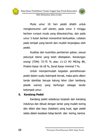 Balai Besar Pembibitan Ternak Unggul Sapi Perah Baturraden
Bibit Berkualitas Solusi Cerdas
Petunjuk Pemeliharaan Bibit Sapi Perah68
Mulai umur 10 hari pedet dilatih untuk
mengkonsumsi calf starter, pada umur 2 minggu
berikan rumput muda yang dilayukan/hay, dan pada
umur 3 bulan berikan konsentrat berkualitas. Letakan
pada tempat yang bersih dan mudah terjangkau oleh
pedet.
Kualitas dan kuantitas pemberian pakan, sesuai
petunjuk teknis yang telah ditetapkan. Kandungan
energi (TDN) 72-75 % atau 11-13 MJ ME/kg BK,
Protein Kasar 16-18 %, Serat Kasar minimal 7 %.
Untuk mempermudah kegiatan pemeliharaan
pedet dalam suatu kelompok ternak, maka perlu diberi
tanda identitas berupa kalung leher (dari tambang
plastik warna) yang berfungsi sebagai tanda
kelompok umur.
5. Kandang Pedet
Kandang pedet sebaiknya terpisah dari kandang
induknya dan dibuat dengan lantai yang mudah kering
dan diberi alas kayu (tataban) yang kuat, agar pedet
selalu dalam keadaan tetap bersih dan kering, karena
 
