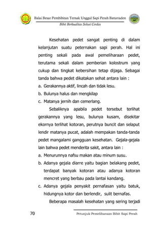 Balai Besar Pembibitan Ternak Unggul Sapi Perah Baturraden
Bibit Berkualitas Solusi Cerdas
Petunjuk Pemeliharaan Bibit Sapi Perah70
Kesehatan pedet sangat penting di dalam
kelanjutan suatu peternakan sapi perah. Hal ini
penting sekali pada awal pemeliharaan pedet,
terutama sekali dalam pemberian kolostrum yang
cukup dan tingkat kebersihan tetap dijaga. Sebagai
tanda bahwa pedet dikatakan sehat antara lain :
a. Gerakannya aktif, lincah dan tidak lesu.
b. Bulunya halus dan mengkilap
c. Matanya jernih dan cemerlang.
Sebaliknya apabila pedet tersebut terlihat
gerakannya yang lesu, bulunya kusam, disekitar
ekornya terlihat kotoran, perutnya buncit dan selaput
lendir matanya pucat, adalah mempakan tanda-tanda
pedet mangalami gangguan kesehatan. Gejala-gejala
lain bahwa pedet menderita sakit, antara lain :
a. Menurunnya nafsu makan atau minum susu.
b. Adanya gejala diarre yaitu bagian belakang pedet,
terdapat banyak kotoran atau adanya kotoran
mencret yang berbau pada lantai kandang.
c. Adanya gejala penyakit pernafasan yaitu batuk,
hidungnya kotor dan berlendir, sulit bernafas.
Beberapa masalah kesehatan yang sering terjadi
 