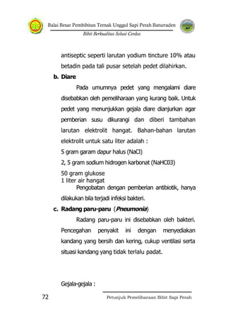 Balai Besar Pembibitan Ternak Unggul Sapi Perah Baturraden
Bibit Berkualitas Solusi Cerdas
Petunjuk Pemeliharaan Bibit Sapi Perah72
antiseptic seperti larutan yodium tincture 10% atau
betadin pada tali pusar setelah pedet dilahirkan.
b. Diare
Pada umumnya pedet yang mengalami diare
disebabkan oleh pemeliharaan yang kurang baik. Untuk
pedet yang menunjukkan gejala diare dianjurkan agar
pemberian susu dikurangi dan diberi tambahan
larutan elektrolit hangat. Bahan-bahan larutan
elektrolit untuk satu liter adalah :
5 gram garam dapur halus (NaCl)
2, 5 gram sodium hidrogen karbonat (NaHC03)
50 gram glukose
1 liter air hangat
Pengobatan dengan pemberian antibiotik, hanya
dilakukan bila terjadi infeksi bakteri.
c. Radang paru-paru (Pneumonia)
Radang paru-paru ini disebabkan oleh bakteri.
Pencegahan penyakit ini dengan menyediakan
kandang yang bersih dan kering, cukup ventilasi serta
situasi kandang yang tidak terlalu padat.
Gejala-gejala :
 
