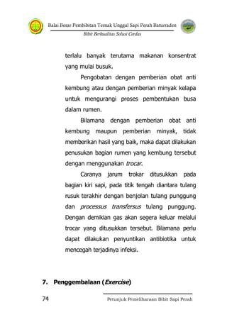 Balai Besar Pembibitan Ternak Unggul Sapi Perah Baturraden
Bibit Berkualitas Solusi Cerdas
Petunjuk Pemeliharaan Bibit Sapi Perah74
terlalu banyak terutama makanan konsentrat
yang mulai busuk.
Pengobatan dengan pemberian obat anti
kembung atau dengan pemberian minyak kelapa
untuk mengurangi proses pembentukan busa
dalam rumen.
Bilamana dengan pemberian obat anti
kembung maupun pemberian minyak, tidak
memberikan hasil yang baik, maka dapat dilakukan
penusukan bagian rumen yang kembung tersebut
dengan menggunakan trocar.
Caranya jarum trokar ditusukkan pada
bagian kiri sapi, pada titik tengah diantara tulang
rusuk terakhir dengan benjolan tulang punggung
dan processus transfersus tulang punggung.
Dengan demikian gas akan segera keluar melalui
trocar yang ditusukkan tersebut. Bilamana perlu
dapat dilakukan penyuntikan antibiotika untuk
mencegah terjadinya infeksi.
7. Penggembalaan (Exercise)
 