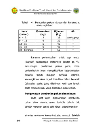 Balai Besar Pembibitan Ternak Unggul Sapi Perah Baturraden
Bibit Berkualitas Solusi Cerdas
Petunjuk Pemeliharaan Bibit Sapi Perah80
Tabel 4 : Pemberian pakan hijauan dan konsentrat
untuk sapi dara.
Umur
(bulan)
Konsentrat
(kg)
Hijauan
(kg)
Air
6 – 9 3 25 secukupnya
9 - 12 4 30 “
12 - 15 5 40 “
15 - 18 6 45 “
18 - beranak 7 50 “
Ransum pertumbuhan untuk sapi muda
(grower) kandungan proteinnya sekitar 15 %.
Kekurangan pemberian pakan pada masa
pertumbuhan akan mengakibatkan keterlambatan
desawa tubuh maupun dewasa kelamin,
kemungkinan akan terjadi kesulitan dalam beranak
(distocia), pedet yang dilahirkan kecil dan lemah
serta produksi susu yang dihasilkan akan sedikit.
Pengawasan pemberian pakan dan minum
Pada saat akan dilaksanakan pemberian
pakan atau minum, maka terlebih dahulu bak
tempat makanan setiap pagi harus dibersihkan dari
sisa-sisa makanan konsentrat atau rumput. Setelah
 