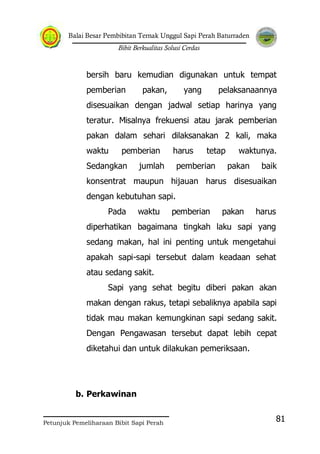 Balai Besar Pembibitan Ternak Unggul Sapi Perah Baturraden
Bibit Berkualitas Solusi Cerdas
Petunjuk Pemeliharaan Bibit Sapi Perah
81
bersih baru kemudian digunakan untuk tempat
pemberian pakan, yang pelaksanaannya
disesuaikan dengan jadwal setiap harinya yang
teratur. Misalnya frekuensi atau jarak pemberian
pakan dalam sehari dilaksanakan 2 kali, maka
waktu pemberian harus tetap waktunya.
Sedangkan jumlah pemberian pakan baik
konsentrat maupun hijauan harus disesuaikan
dengan kebutuhan sapi.
Pada waktu pemberian pakan harus
diperhatikan bagaimana tingkah laku sapi yang
sedang makan, hal ini penting untuk mengetahui
apakah sapi-sapi tersebut dalam keadaan sehat
atau sedang sakit.
Sapi yang sehat begitu diberi pakan akan
makan dengan rakus, tetapi sebaliknya apabila sapi
tidak mau makan kemungkinan sapi sedang sakit.
Dengan Pengawasan tersebut dapat lebih cepat
diketahui dan untuk dilakukan pemeriksaan.
b. Perkawinan
 