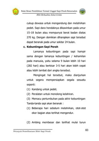 Balai Besar Pembibitan Ternak Unggul Sapi Perah Baturraden
Bibit Berkualitas Solusi Cerdas
Petunjuk Pemeliharaan Bibit Sapi Perah
83
cukup dewasa untuk mengandung dan melahirkan
pedet. Sapi dara hendaknya dikawinkan pada umur
15-18 bulan atau mempunyai berat badan diatas
270 kg. Dengan demikian diharapkan sapi tersebut
dapat beranak pada umur sekitar 24 bulan.
c. Kebuntingan Sapi Perah
Lamanya kebuntingan pada sapi hampir
sama dengan lamanya kebuntingan / kehamilan
pada manusia, yaitu selama 9 bulan lebih 10 hari
(282 hari) atau berkisar 3-5 hari akan lebih cepat
atau lebih lambat dari angka tersebut.
Mengingat hal tersebut, maka dianjurkan
untuk segera mempersiapkan segala sesuatu
seperti:
(1) Kandang untuk pedet.
(2) Peralatan untuk menolong kelahiran.
(3) Memacu pertumbuhan pada akhir kebuntingan
Tanda-tanda sapi akan beranak :
(1) Beberapa hari sebelum melahirkan, otot-otot
ekor bagian atas terlihat mengendur.
(2) Ambing membesar dan terlihat mulai turun
 