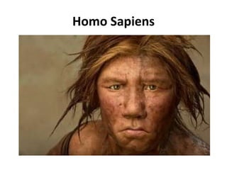 Homo Sapiens 
 