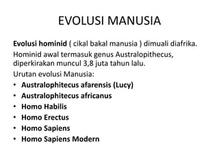 EVOLUSI MANUSIA 
Evolusi hominid ( cikal bakal manusia ) dimuali diafrika. 
Hominid awal termasuk genus Australopithecus, 
diperkirakan muncul 3,8 juta tahun lalu. 
Urutan evolusi Manusia: 
• Australophitecus afarensis (Lucy) 
• Australophitecus africanus 
• Homo Habilis 
• Homo Erectus 
• Homo Sapiens 
• Homo Sapiens Modern 
 
