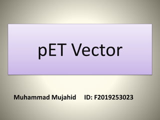 pET Vector
Muhammad Mujahid ID: F2019253023
 