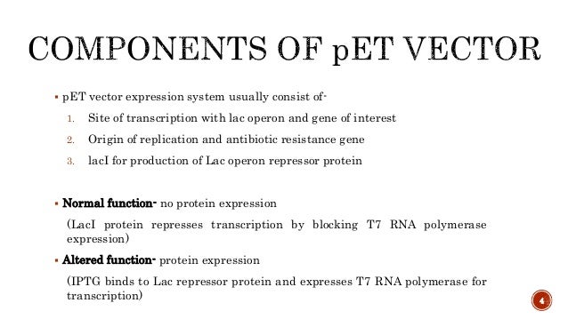 Pet Vector - Anna Blog