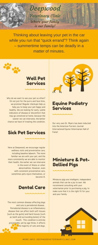 Well Pet
Services
Why do we want to see your pet so often?
It’s not just for the purrs and face licks,
we promise! Regular checkups help us
help you to keep your pet happy and
healthy. We are looking for early, subtle
indicators of disease or discomfort that
may go unnoticed at home, because the
sooner we can intervene, the better
chance we have of treating the condition.
Equine Podiatry
Services
Our very own Dr. Myers has been inducted
into the American Farriers Journal
International Equine Veterinarian Hall of
Fame!
Sick Pet Services
Here at Deepwood, we encourage regular
wellness visits and preventative care,
including baseline labwork. The more
familiar we are with your pet, and the
more consistently we are able to monitor
their health, the earlier we can intervene
in the event of illness or other
abnormalities. However, even
with consistent preventative care,
sometimes pets injure themselves, or
become ill.
Miniature & Pot-
Bellied Pigs
Miniature pigs are intelligent, independent
animals that can be a joy to own. We
recommend consulting with your
veterinarian prior to purchasing a pig, to
make sure that it is the right fit for your
and your family.
Dental Care
The most common disease affecting dogs
and cats is periodontal disease. 
Periodontal disease is an inflammatory
disease that can affect both soft tissues
(such as the gums) and hard tissues (such
as teeth and surrounding bones) of the
mouth.  This condition is entirely
preventable, yet by age three, it affects
the majority of cats and dogs.
MORE I NFO: DEEPWOODVETERI NARYCLI NI C. COM
Thinking about leaving your pet in the car
while you run that “quick errand”? Think again
– summertime temps can be deadly in a
matter of minutes.
 