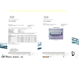 Pet webbing making process | PPTX