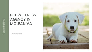 PET WELLNESS
AGENCY IN
MCLEAN VA
ODAHCENTER.COM
703-356-5582
 