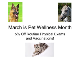 March is Pet Wellness Month
5% Off Routine Physical Exams
and Vaccinations!

 