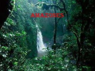 AMAZONES
 