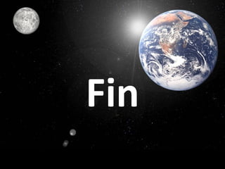 Fin
 