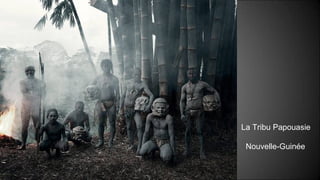 La Tribu Papouasie
Nouvelle-Guinée
 