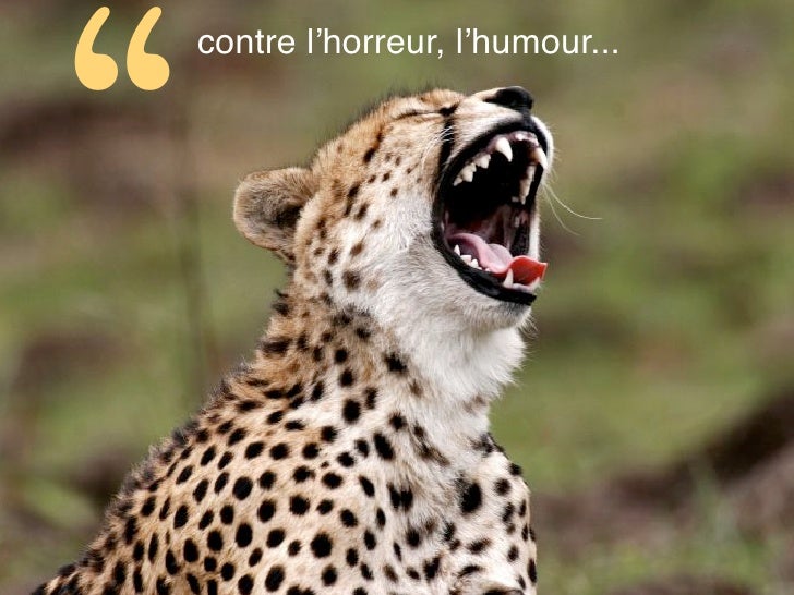 Avoir Images Peur Et Humour actualisé par