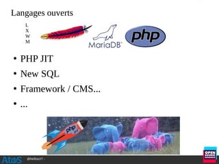 @hellosct1 -
Langages ouverts
●
PHP JIT
●
New SQL
●
Framework / CMS...
●
...
L
X
W
M
 