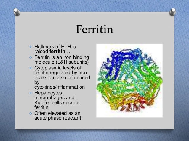 What causes high ferritin levels?