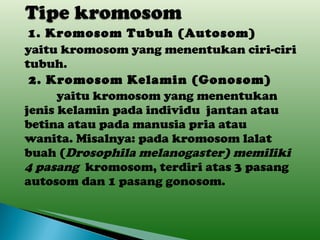 1. Kromosom Tubuh (Autosom) yaitu kromosom yang menentukan ciri-ciri tubuh. 2. Kromosom Kelamin (Gonosom) yaitu kromosom yang menentukan jenis kelamin  pada individu  jantan atau betina atau pada manusia  pria atau wanita. Misalnya: pada kromosom lalat buah ( Drosophila melanogaster) memiliki 4 pasang  kromosom, terdiri atas 3 pasang autosom dan 1 pasang gonosom. 