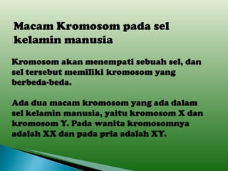 Macam Kromosom pada sel kelamin manusia 