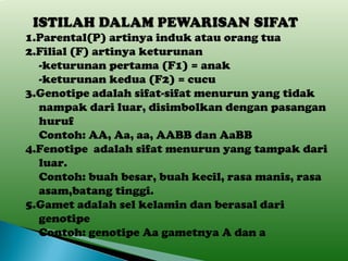 1.Parental(P) artinya induk atau orang tua 2.Filial (F) artinya keturunan -keturunan pertama (F1) = anak -keturunan kedua (F2) = cucu 3.Genotipe adalah sifat-sifat menurun yang tidak nampak dari luar, disimbolkan dengan pasangan huruf Contoh: AA, Aa, aa, AABB dan AaBB 4.Fenotipe  adalah sifat menurun yang tampak dari luar. Contoh: buah besar, buah kecil, rasa manis, rasa asam,batang tinggi. 5.Gamet adalah sel kelamin dan berasal dari genotipe Contoh: genotipe Aa gametnya A dan a 