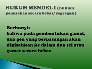Berbunyi: bahwa pada pembentukan gamet, dua gen yang berpasangan akan dipisahkan ke dalam dua sel atau gamet secara bebas 