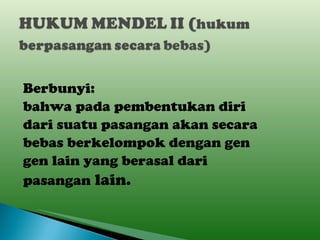 Berbunyi: bahwa pada pembentukan diri dari suatu pasangan akan secara bebas berkelompok dengan gen gen lain yang berasal dari  pasangan  lain. 