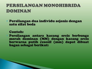 Persilangan dua individu sejenis dengan satu sifat beda Contoh: Persilangan antara kacang ercis berbunga merah dominan (MM) dengan kacang ercis berwarna putih resesif (mm) dapat dibuat bagan sebagai berikut: 