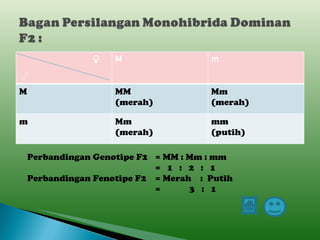 Perbandingan Genotipe F2 = MM : Mm : mm =  1  :  2  :  1 Perbandingan Fenotipe F2 = Merah  :  Putih =   3  :  1 ♂ ♀  M m M MM (merah) Mm (merah) m Mm (merah) mm (putih) 