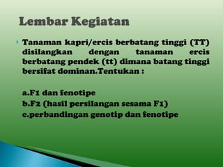 Tanaman kapri/ercis berbatang tinggi (TT) disilangkan dengan tanaman ercis berbatang pendek (tt) dimana batang tinggi bersifat dominan.Tentukan : a.F1 dan fenotipe b.F2 (hasil persilangan sesama F1) c.perbandingan genotip dan fenotipe 