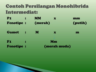 P1 : MM x mm Fenotipe : (merah) (putih) Gamet :  M x   m F1 :   Mm Fenotipe : (merah muda) 