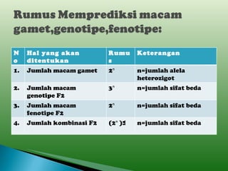 No Hal yang akan ditentukan Rumus Keterangan 1. Jumlah macam gamet 2ⁿ n=jumlah alela heterozigot 2. Jumlah macam genotipe F2 3ⁿ n=jumlah sifat beda 3. Jumlah macam fenotipe F2 2ⁿ n=jumlah sifat beda 4. Jumlah kombinasi F2 (2ⁿ )² n=jumlah sifat beda 
