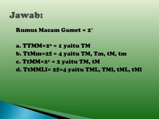 Rumus Macam Gamet = 2ⁿ  a.  TTMM= 2º = 1 yaitu TM b.  TtMm= 2² = 4 yaitu TM, Tm, tM, tm c.  TtMM= 2¹ = 2 yaitu TM, tM d.  TtMMLl=  2²=4 yaitu TML, TMl, tML, tMl 