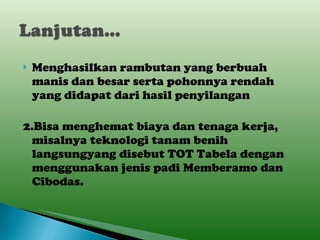 Menghasilkan rambutan yang berbuah manis dan besar serta pohonnya rendah yang didapat dari hasil penyilangan 2.Bisa menghemat biaya dan tenaga kerja, misalnya teknologi tanam benih langsungyang disebut TOT Tabela dengan menggunakan jenis padi Memberamo dan Cibodas.  