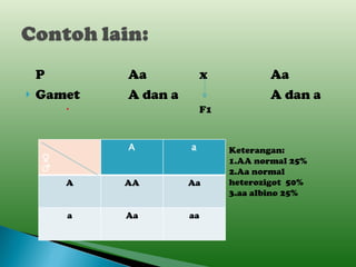 P Aa x Aa Gamet A dan a A dan a F1 Keterangan: 1.AA normal 25% 2.Aa normal heterozigot  50% 3.aa albino 25% ♀ ♂ A a A AA Aa a Aa aa 