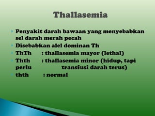 Penyakit darah bawaan yang menyebabkan sel darah merah pecah Disebabkan alel dominan Th ThTh  : thallasemia mayor (lethal) Thth  : thallasemia minor (hidup, tapi  perlu    transfusi darah terus) thth  : normal  
