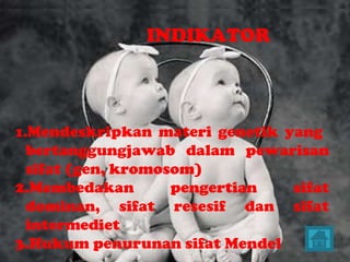 INDIKATOR 1. Mendeskripkan materi genetik yang  bertanggungjawab dalam pewarisan sifat (gen, kromosom)  2.Membedakan pengertian sifat dominan, sifat resesif dan sifat intermediet 3.Hukum penurunan sifat Mendel 