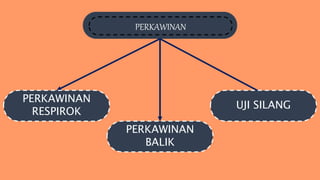 PERKAWINAN
PERKAWINAN
RESPIROK
PERKAWINAN
BALIK
UJI SILANG
 