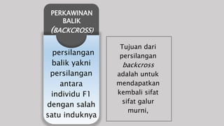 Tujuan dari
persilangan
backcross
adalah untuk
mendapatkan
kembali sifat
sifat galur
murni,
PERKAWINAN
BALIK
(BACKCROSS)
persilangan
balik yakni
persilangan
antara
individu F1
dengan salah
satu induknya
 