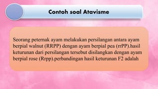 Seorang peternak ayam melakukan persilangan antara ayam
berpial walnut (RRPP) dengan ayam berpial pea (rrPP).hasil
keturunan dari persilangan tersebut disilangkan dengan ayam
berpial rose (Rrpp).perbandingan hasil keturunan F2 adalah
Contoh soal Atavisme
 