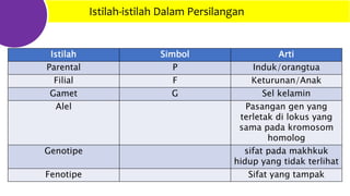 Istilah-istilah Dalam Persilangan
Istilah Simbol Arti
Parental P Induk/orangtua
Filial F Keturunan/Anak
Gamet G Sel kelamin
Alel Pasangan gen yang
terletak di lokus yang
sama pada kromosom
homolog
Genotipe sifat pada makhkuk
hidup yang tidak terlihat
Fenotipe Sifat yang tampak
 