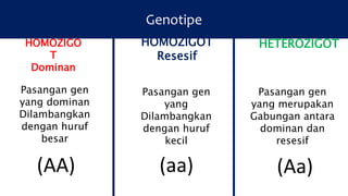 Genotipe
HOMOZIGO
T
Dominan
Pasangan gen
yang dominan
Dilambangkan
dengan huruf
besar
HOMOZIGOT
Resesif
HETEROZIGOT
(AA)
Pasangan gen
yang
Dilambangkan
dengan huruf
kecil
(aa)
Pasangan gen
yang merupakan
Gabungan antara
dominan dan
resesif
(Aa)
 