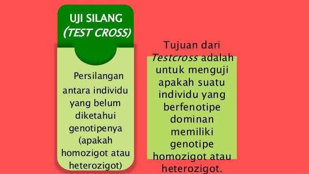 POLA PEWARISAN SIFAT