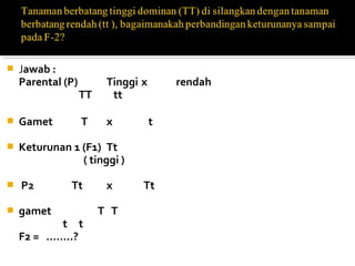    Jawab :
    Parental (P)         Tinggi x       rendah
                   TT     tt

   Gamet          T     x          t

   Keturunan 1 (F1) Tt
                ( tinggi )

   P2        Tt         x      Tt

   gamet               T T
           t t
    F2 = ……..?
 