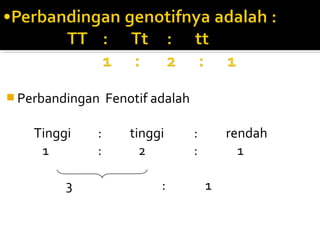  Perbandingan   Fenotif adalah

    Tinggi   :       tinggi       :       rendah
     1       :         2          :         1

         3                :           1
 