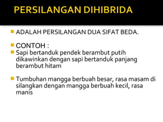  ADALAH PERSILANGAN DUA SIFAT BEDA.

 CONTOH :
 Sapi bertanduk pendek berambut putih
 dikawinkan dengan sapi bertanduk panjang
 berambut hitam
 Tumbuhan mangga berbuah besar, rasa masam di
 silangkan dengan mangga berbuah kecil, rasa
 manis
 