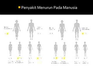  Penyakit Menurun Pada Manusia
 